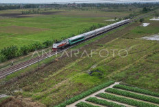 Gerbong Harapan Petani dan Pedagang Banten