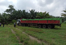 Tersangka 45 Ton Batu Hias Ilegal di Bengkulu Hanya 1 Orang, Begini Pengakuan Polisi