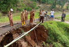  Sekda Rejang Lebong Tinjau   Jalan dan Jembatan Rusak