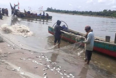  Pendapatan Nelayan Mukomuko Dibawah UMK, Segini Jumlahnya