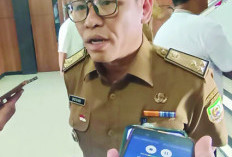 Listrik Gratis 450 VA Dihapus, Ini Keterangan Kepala Dinas ESDM Provinsi Bengkulu