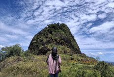 Bukit Kandis Bengkulu, Surga Tersembunyi dengan Spot Foto Memukau