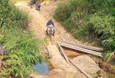 Petani Kedurang Harap Pemerintah   segera Bangun Jalan Sentral Pertanian