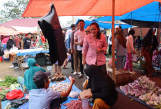 Grebek Pasar, Calon Anggota DPD RI Nomor 7 Elisa Ermasari  Berkunjung ke Pasar Taba Lagan