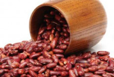 Kaya Akan Nutrisi, Kacang Merah Dapat Mengobati 6 Penyakit Berikut Ini 