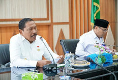 Wagub Mian Sesalkan Pengusaha Tak Tanam Modal di Bank Bengkulu: Devidennya untuk Pembangunan