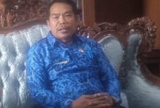 25 THL Kepahiang Gigit Jari, Masuk Database BKN, Tapi Tak Bisa Ikut Seleksi PPPK Tahap II, Berikut Alasannya