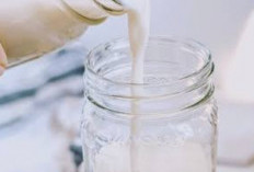 Selain Sinar Matahari, Minuman Sehat Kaya Vitamin D untuk Perkuat Tulang dan Otot Setiap Hari