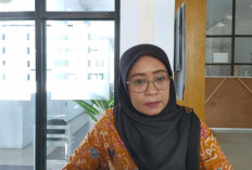 Kasus DBD dan Malaria di Rejang Lebong Melandai, Hingga Juni Nihil Suspek Baru