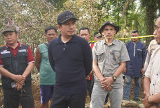 Pasar Sidomukti Terbakar Hebat,  Bupati Arie Tawarkan 2 Opsi Penanganan Total
