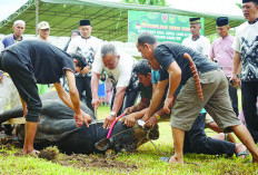 Kodim 0408 dan Polres BS Berkurban