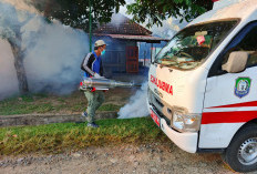 DBD, Puluhan Rumah Difogging, Ini Tujuan Dinas Kesehatan Kabupaten Kaur
