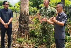 Tahun 2026, Kodim   Kaur Mulai Dibangun,  Pemda Kaur Siapkan Lahan 2 Hektare