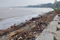Sampah Liar Cemari Pantai Pasar Bawah, Kesadaran Buang Sampah Pada Tempatnya Dipertanyakan