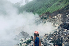 Obyek Wisata, Keindahan Kawa Bukit Hitam di Bengkulu Menarik Perhatian Wisatawan, Ayo ke Sini 