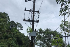 Longsor Rusak Tiang PLN, Listrik Padam di 2 Desa Bengkulu Selatan