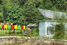 Glamping Rindu Hati Bengkulu Tengah, Liburan Seru untuk Healing dan Berkemah