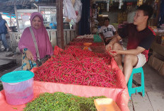 Harga Cabai   Rp 80 Ribu/Kg, Ini Penyebab Harganya Naik