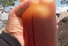 Minuman yang di Rekomendasi Lebih Aman untuk Penderita Asam Urat