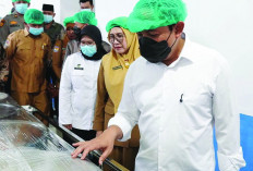 Resmikan Dapur MBG Wali Kota Bengkulu Fokus Mutu Pangan Anak 