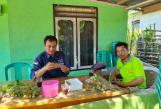  Kandang Ayam  Diprotes Warga Benteng