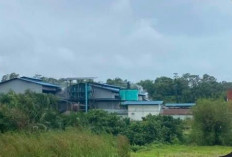 PT AIP di Seluma Tutup Operasi, Puluhan Karyawan Dirumahkan