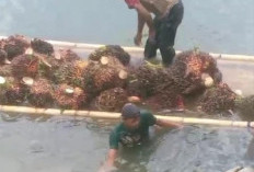  Warga di Benteng Angkut Hasil Panen Gunakan Rakit