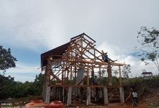  Desa Batu Raja Terima Bantuan   Kandang Ayam dari  Kementerian Ini