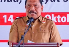 Truk ODOL Dilarang Lewati Jalan Provinsi Bengkulu, Wakil Gubernur Tegaskan Agar Umur Jalan Lebih Lama 