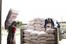  Pupuk Subsidi di Mukomuko   Diingatkan Dijual Sesuai HET, Ini Sanksinya 