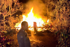 Ditinggal Pergi, Rumah Warga Lebong Hangus Terbakar