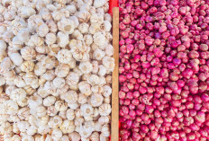 Harga  Bawang Putih di Pasar Panorama Turun, Segini Sekarang
