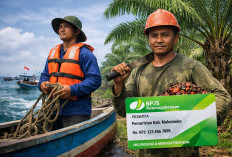 Bertaruh Nyawa di Kebun Sawit dan Laut, Pemkab Mukomuko Beri ''Proteksi Khusus'' bagi Ribuan Buruh
