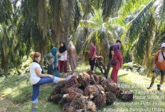 Karyawan PT Agricinal Alami Intimidasi, Operasional Perusahaan Terganggu