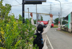 Optimalisasi PAD, BKD Benteng Gali Potensi Pajak Reklame