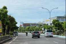 Usai Pohon Dipangkas, Begini Kondisi Jalan PDK