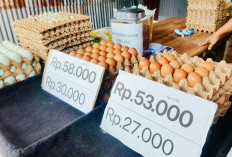 Harga Telur Naik, Omzet Pedagang Kecil Terusik