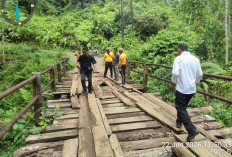 Jembatan Air Paungan Rusak Parah, Kapolres Seluma Tinjau ke Lokasi