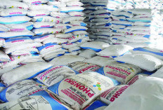 Terima Tambahan 5 000 Ton Pupuk NPK, Ini Kata Kasi Pupuk dan Alsintan Dinas TPHP Provinsi Bengkulu
