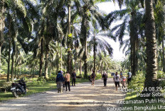 PT Agricinal Bantah Ingkar Janji, Masyarakat Minta Tunjukkan Sertifikat HGU Terbaru