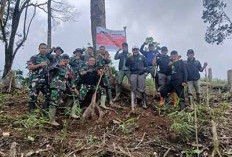 Perambah Hutan Lindung di Benteng Ditindak Tegas, Pondok Dirobohkan, Lanjut Proses Hukum