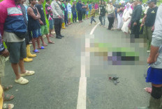 Truk Sampah DLH Kabupaten Lebong Tewaskan Pengendara Motor