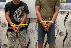 Polres Kaur Amankan Dua Pengguna Narkoba 