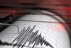 3 Kali Digoyang Gempa, BMKG Imbau Masyarakat Bengkulu  Tetap Tenang