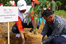 Mengabdi Membangun Negeri; OJK Tanam dan Bagikan Ribuan Bibit Pohon Produktif 