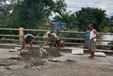 Belum Diperbaiki, Warga Gotong Royong Tambal Sulam Jalan Berlubang