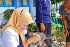 Warga Kepahiang Diminta Waspada Gigitan HPR, Stok VAR Hanya 32 Vial