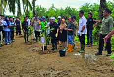 PT Bio Menjadi Tuan Rumah  Gerakan Tanam 49.280 Bibit Pohon   di Bengkulu oleh Gubernur Helmi Hasan