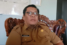 Honorer Non-Database Dirumahkan, Ini Langkah dan Solusi Pemkab Mukomuko