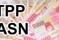 TPP ASN Pemkot Bengkulu Dibayar Tepat Waktu, Begini Penjelasan Pj Sekdakot